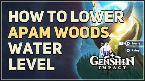 How to reduce water level in Apam Woods: Genshin Impact